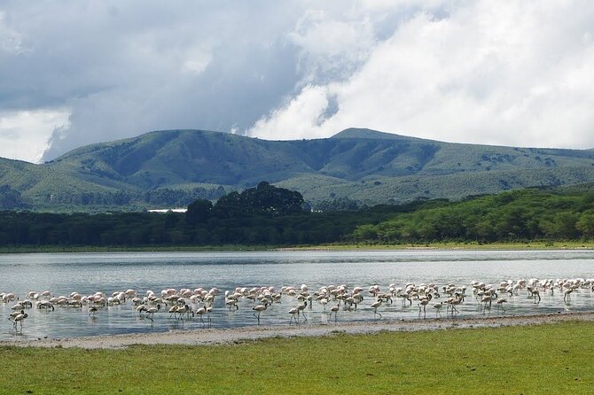Full-Day Lake Nakuru National Park Private Tour from Nairobi - What the $215 Price Really Covers