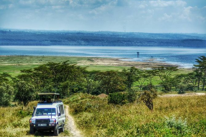 Full Day Lake Nakuru Park and optional boat ride on Lake Naivasha - Afternoon game viewing on the way out