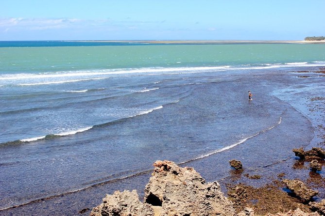 Full Day Mombasa Excursion Tour - A full day that explains Mombasa in layers