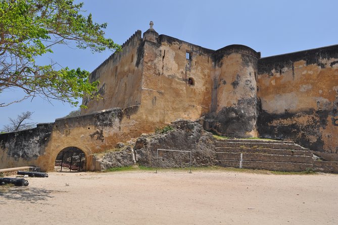 Full Day Mombasa Excursion Tour - Haller Park: three hours with wildlife