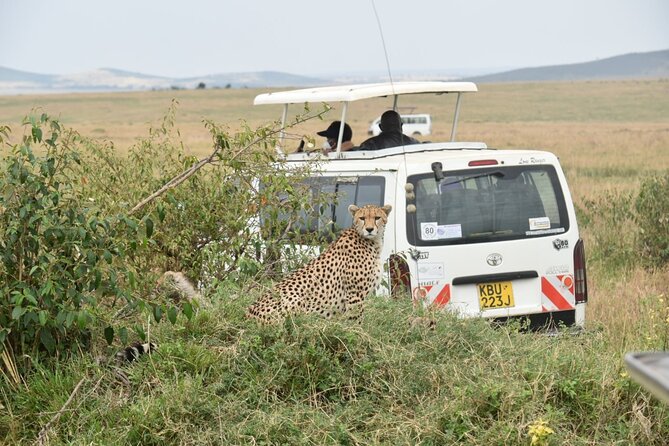 Full Day Private Tour of Tsavo East National Park from Mombasa - The afternoon game drive and the exit to Mombasa
