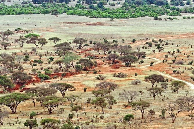 Full Day Private Tour of Tsavo East National Park from Mombasa - What the $315 price includes