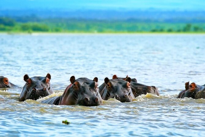 Full day private tour to Hells Gate National park from Nairobi. - Lake Naivasha after the park
