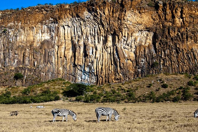Full day private tour to Hells Gate National park from Nairobi. - Is the $80 price good value?