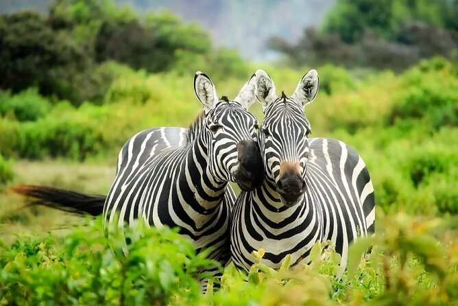 Full day private tour to Hells Gate National park from Nairobi. - The 8 a.m. departure and the Great Rift Valley viewpoint