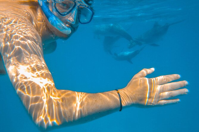 Full-Day Special Wasini Island Tour with Snorkeling and Lunch - Key points to know before booking