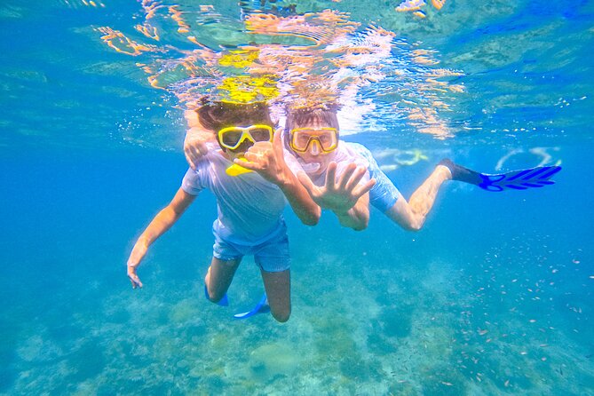 Full-Day Special Wasini Island Tour with Snorkeling and Lunch - What the $126.78 price really includes