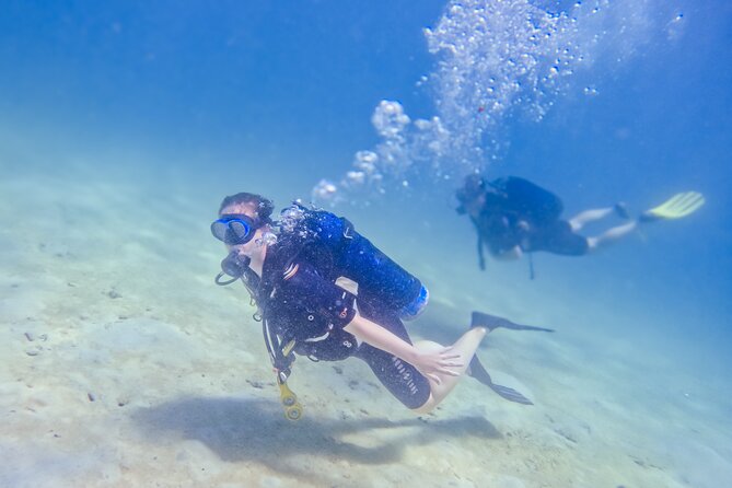 Full-Day Special Wasini Island Tour with Snorkeling and Lunch - Who will enjoy this tour most