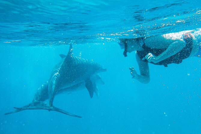 Full-Day Special Wasini Island Tour with Snorkeling and Lunch - Practical advice for making the day easier