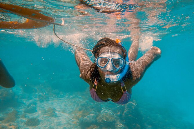 Full-Day Special Wasini Island Tour with Snorkeling and Lunch - Kisite-Mpunguti Marine National Park: the main event