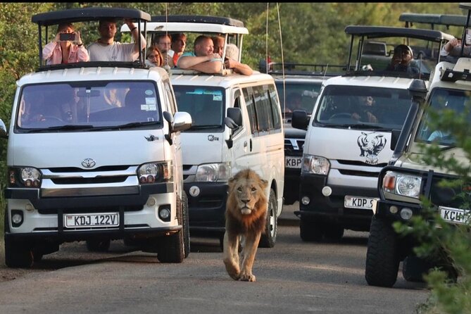 Full Day Tour in Amboseli National Park from Nairobi - Morning game drive with Kilimanjaro behind you