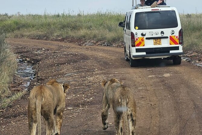 Full Day Tour in Amboseli National Park from Nairobi - The afternoon drive and park exit