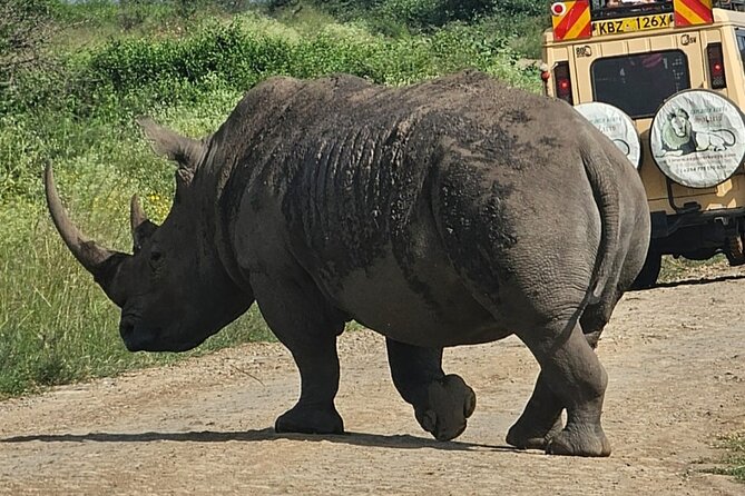 Full Day Tour in Amboseli National Park from Nairobi - The Maasai village visit