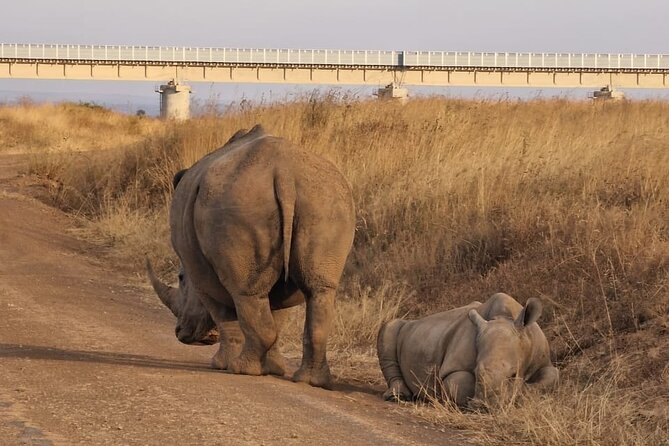 Full Day Tour in Amboseli National Park from Nairobi - What the $140 price really covers