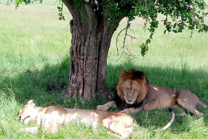 Full Day Tour to Amboseli National Park - Entering Amboseli at about 9:00 am