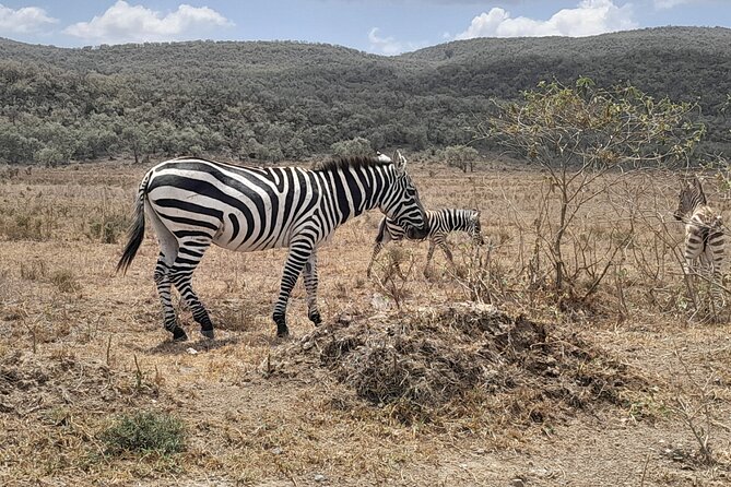 Full Day tour to Lake Nakuru National Park From Nairobi - Lake Naivasha by motorboat for one hour