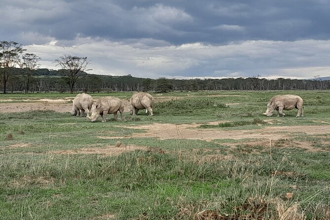 Full Day tour to Lake Nakuru National Park From Nairobi - The return to Nairobi around 6:30pm