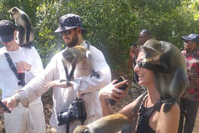 Gede Ruins & Malindi Tour - The guide matters at Gede and in Malindi