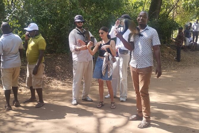 Gede Ruins & Malindi Tour - Timing, weather, and practical preparation