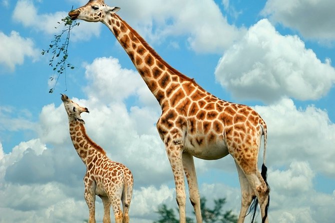 Giraffe Center and David Sheldrick Elephant Orphanage Day Tour from Nairobi - Seeing how Kazuri Beads are made