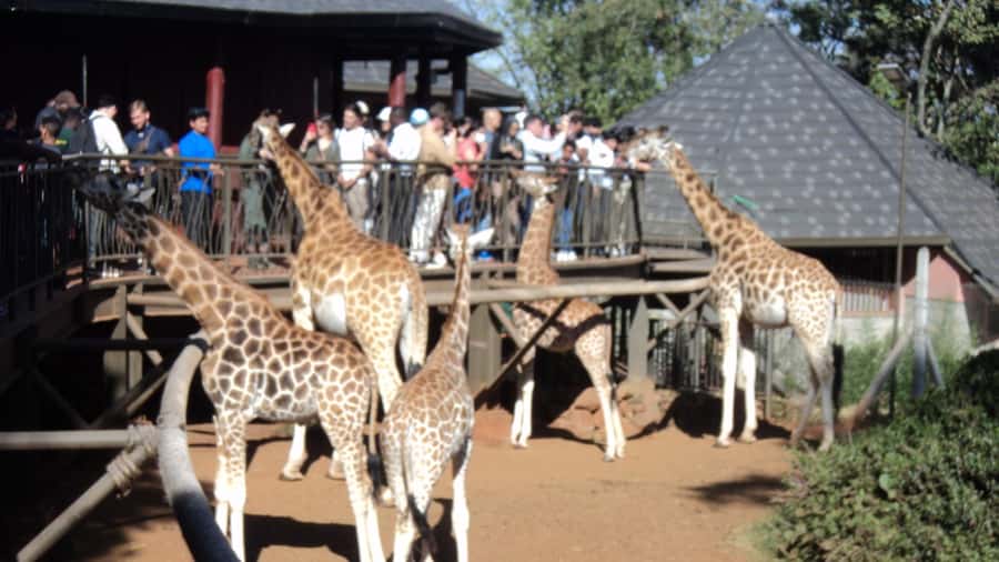 Giraffe Center and Karen Blixen Museum Tour from Nairobi - The nearby craft stop at Kazuri Ltd.
