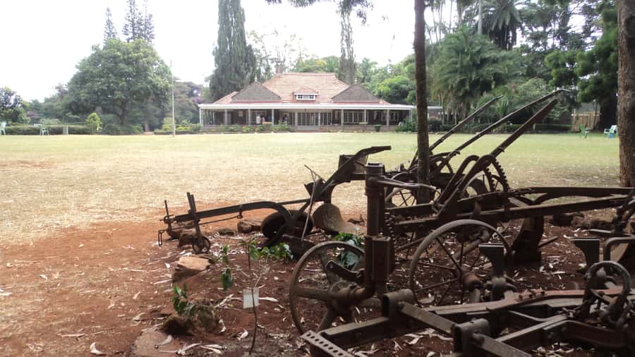 Giraffe Center and Karen Blixen Museum Tour from Nairobi - Giraffe Center: close contact without a full safari