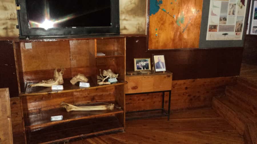 Giraffe Center and Karen Blixen Museum Tour from Nairobi - Is $99 good value?
