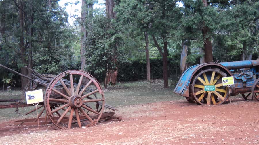 Giraffe Center and Karen Blixen Museum Tour from Nairobi - Who should book this Nairobi outing?