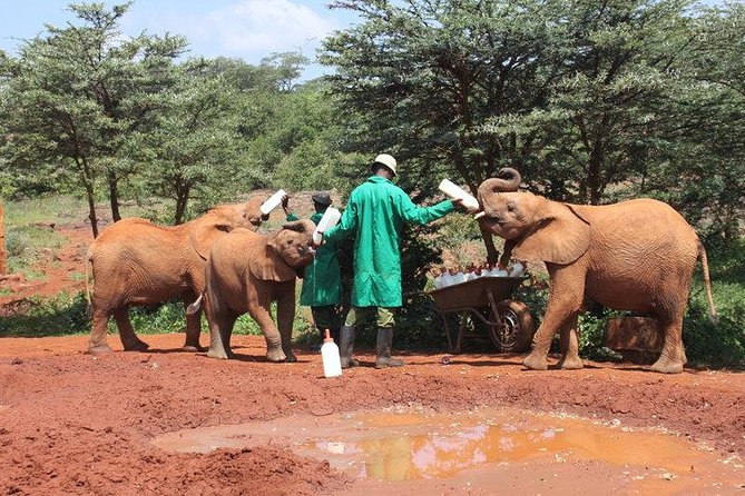 Giraffe center, Elephant Orphanage and Beads Center - What $115 includes, and what it does not