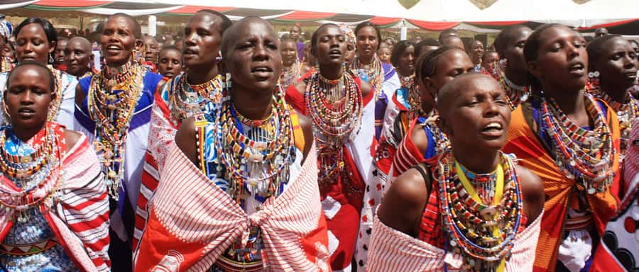 Giraffe Center, Elephant Orphanage and Bomas of Kenya Tour - What this $115 Nairobi day really includes
