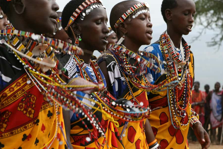 Giraffe Center, Elephant Orphanage and Bomas of Kenya Tour - Who will get the most from this tour