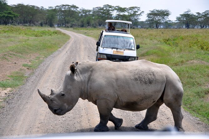 Giraffe Center, Elephant Orphanage and Nairobi National Park Day Tour Nairobi - Kazuri Beads: a useful change of pace