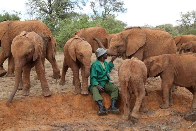 Giraffe Center, Elephant Orphanage, Beads Center & Bomas of Kenya Tour Nairobi - Lunch before the afternoon performance