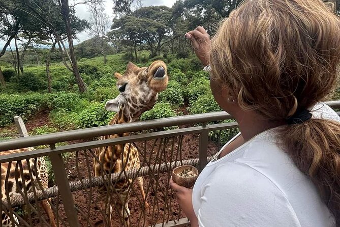 Giraffe Centre and Bomas of Kenya from Nairobi - A Nairobi Day Built Around Giraffes and Culture