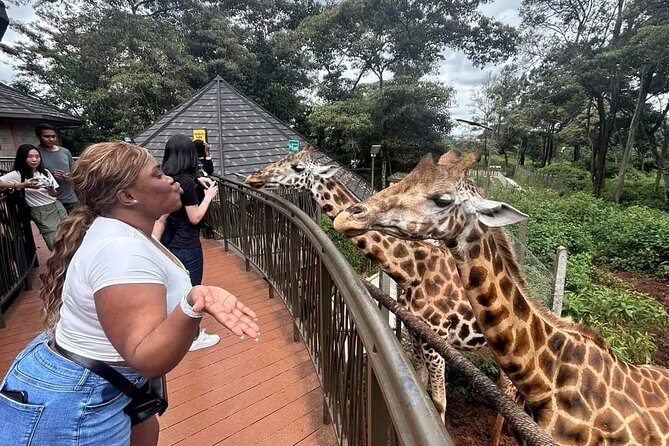 Giraffe Centre and Bomas of Kenya from Nairobi - Meeting the Rothschild Giraffes