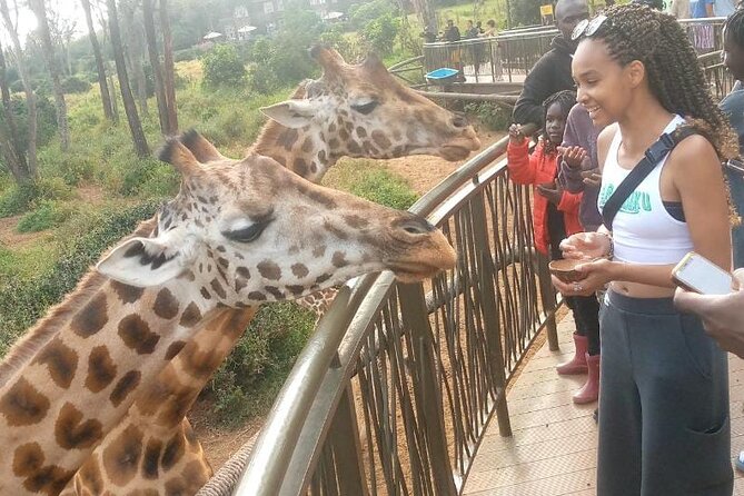 Giraffe Centre and Bomas of Kenya from Nairobi - Should You Book This Nairobi Experience?