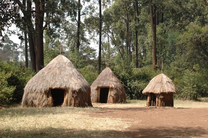 Giraffe Centre and Bomas of Kenya Full-Day Tour from Nairobi - Three sides of Nairobi in one day