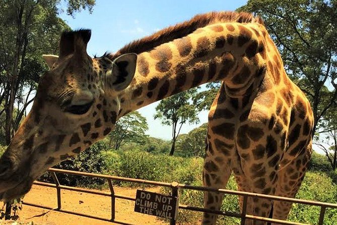 Giraffe Centre and Bomas of Kenya Full-Day Tour from Nairobi - Watching Kazuri Beads take shape