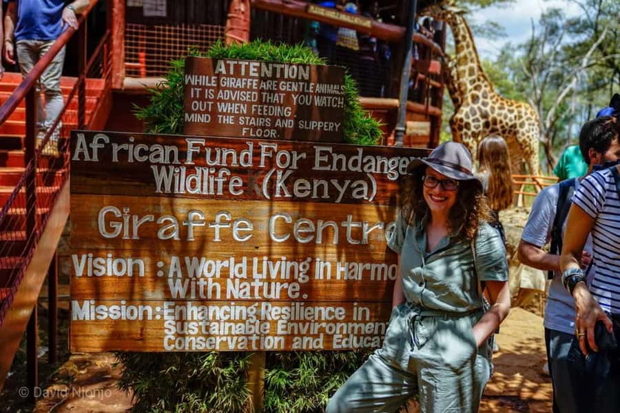 Giraffe, Elephant Orphanage - Three Nairobi highlights in one seven-hour outing