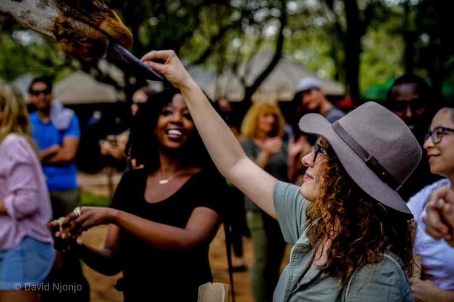 Giraffe, Elephant Orphanage - Feeding Rothschild’s giraffes at the Giraffe Centre
