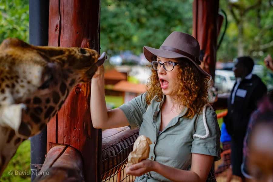 Giraffe, Elephant Orphanage - Hearing each elephant’s story at Sheldrick Wildlife Trust
