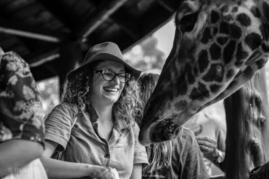 Giraffe, Elephant Orphanage - Lunch before the cultural program