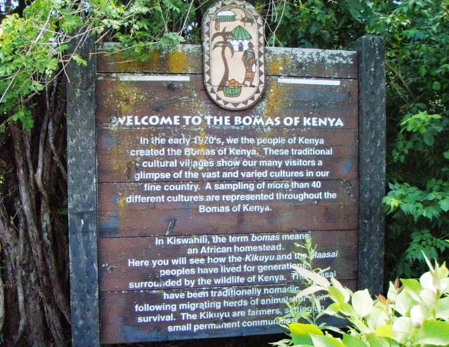 Giraffe, Elephant Orphanage - Pace, comfort, and what to bring