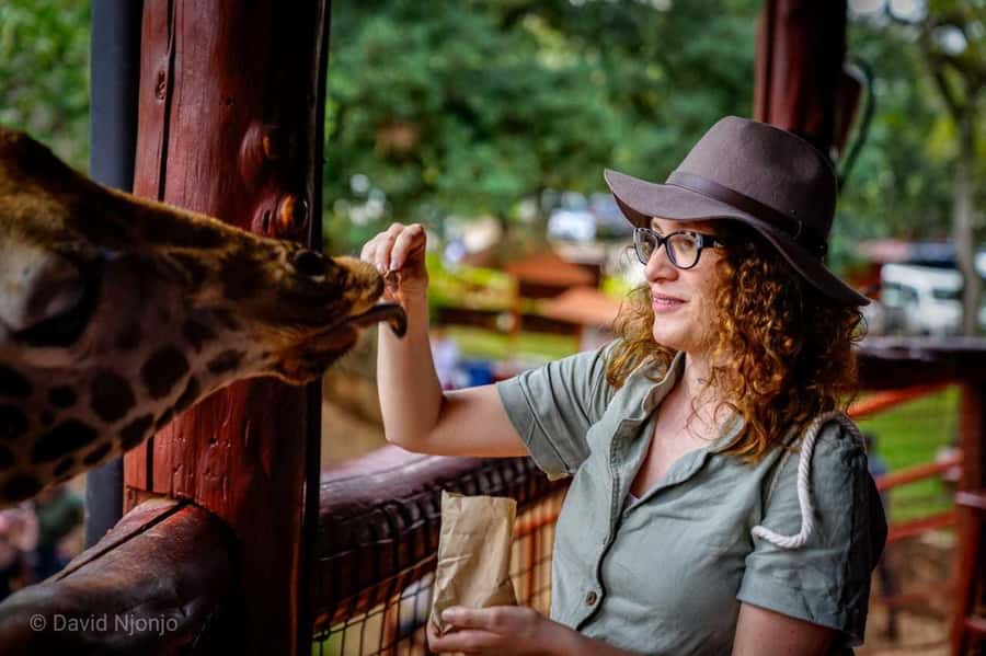 Giraffe, Elephant Orphanage - 9:30 a.m. pickup from your Nairobi address
