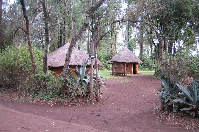 Half-Day Cultural Tour to Bomas of Kenya in Nairobi - Who will enjoy this afternoon most