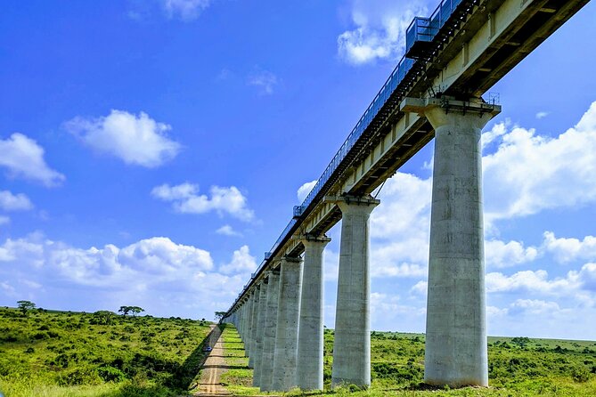 Half Day Nairobi National park - Why Nairobi National Park works so well for a short safari