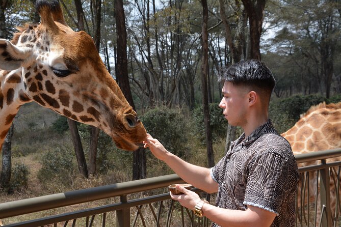 Half-Day Nairobi National Park and Maasai Market with Pick up - Pickup, timing, and guide support