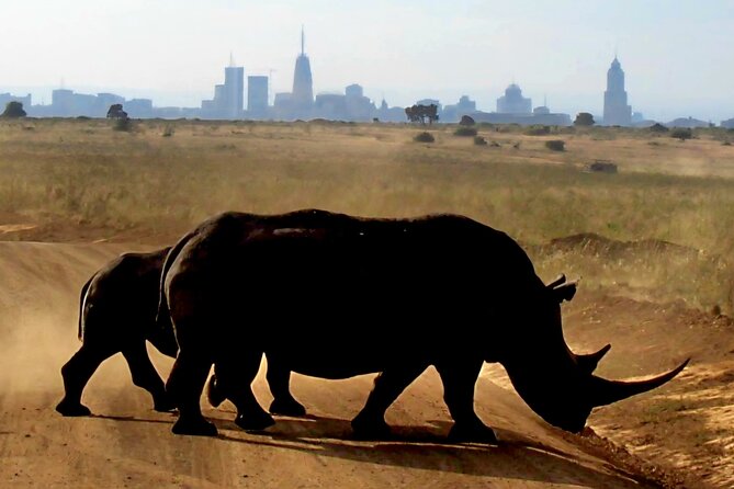 Half-Day Nairobi National Park Private Tour with admission - A city safari with very little city in sight