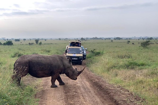 Half-Day Nairobi National Park Safari from Nairobi with Free Pickup - Nairobi’s skyline meets open country