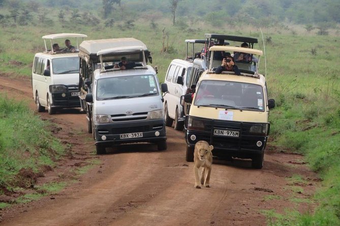 Half-Day Nairobi National Park Safari from Nairobi with Free Pickup - The real cost: $44.16 plus the park fee